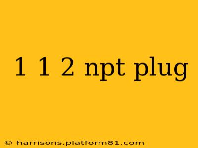 1 1 2 npt plug