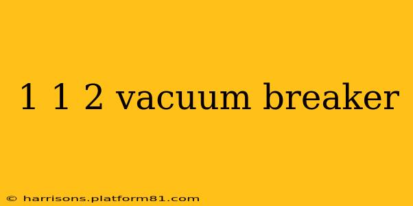 1 1 2 vacuum breaker