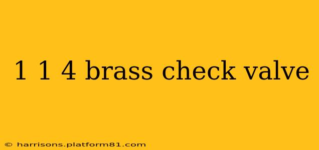 1 1 4 brass check valve