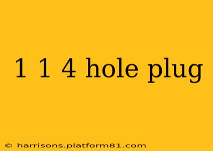 1 1 4 hole plug