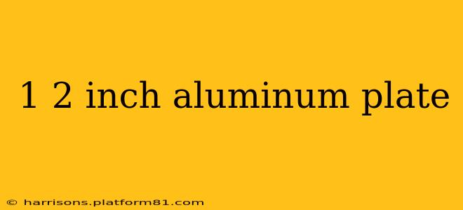 1 2 inch aluminum plate