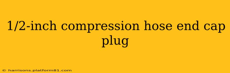 1/2-inch compression hose end cap plug