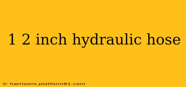 1 2 inch hydraulic hose