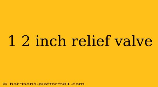 1 2 inch relief valve