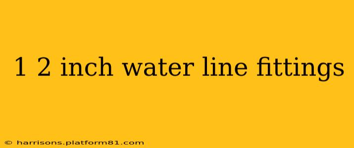 1 2 inch water line fittings