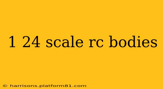 1 24 scale rc bodies