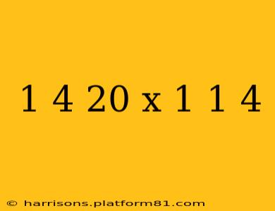 1 4 20 x 1 1 4