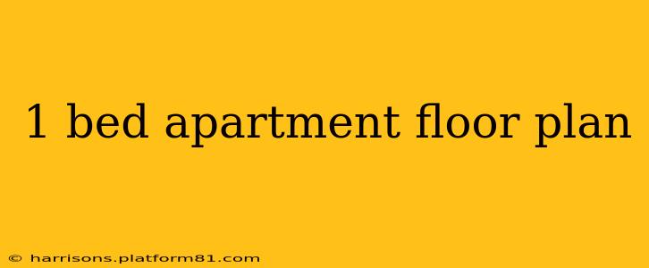 1 bed apartment floor plan
