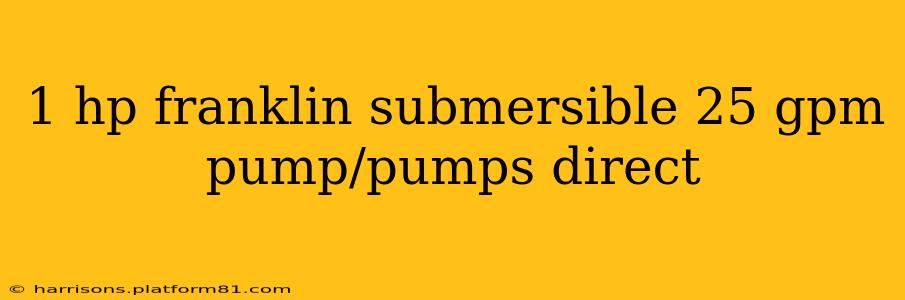 1 hp franklin submersible 25 gpm pump/pumps direct