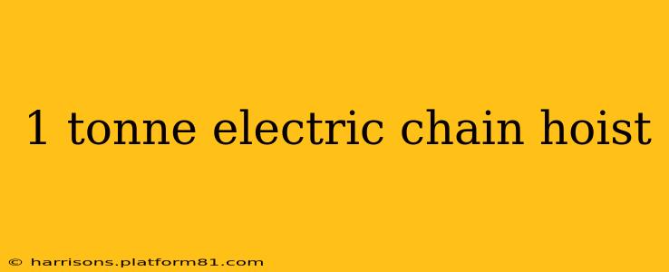 1 tonne electric chain hoist