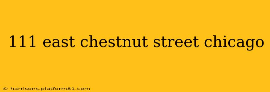 111 east chestnut street chicago
