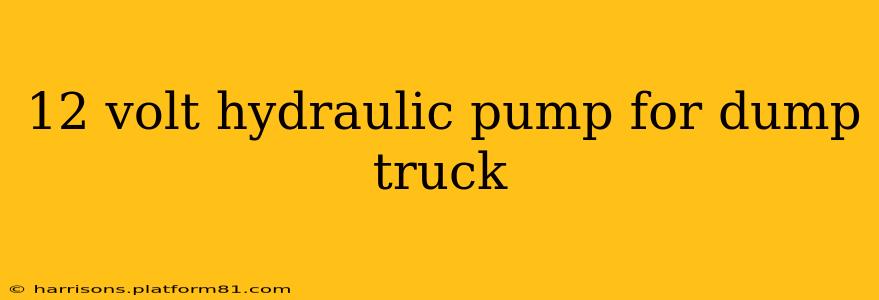 12 volt hydraulic pump for dump truck