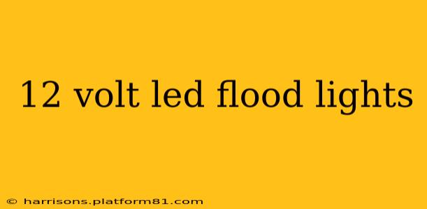 12 volt led flood lights