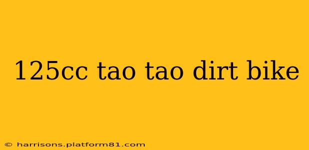 125cc tao tao dirt bike
