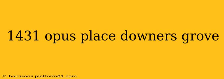 1431 opus place downers grove