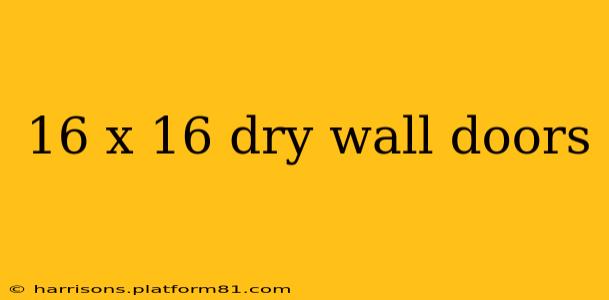 16 x 16 dry wall doors