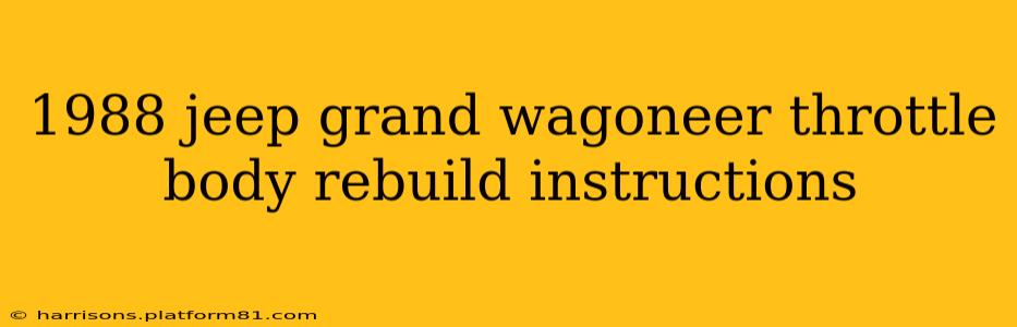 1988 jeep grand wagoneer throttle body rebuild instructions