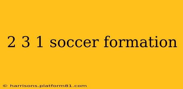2 3 1 soccer formation