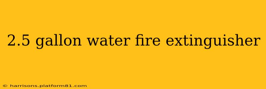 2.5 gallon water fire extinguisher