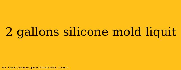 2 gallons silicone mold liquit