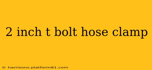 2 inch t bolt hose clamp