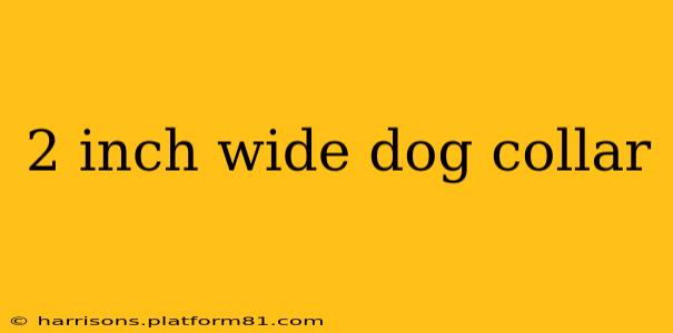 2 inch wide dog collar
