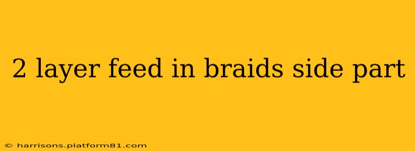 2 layer feed in braids side part
