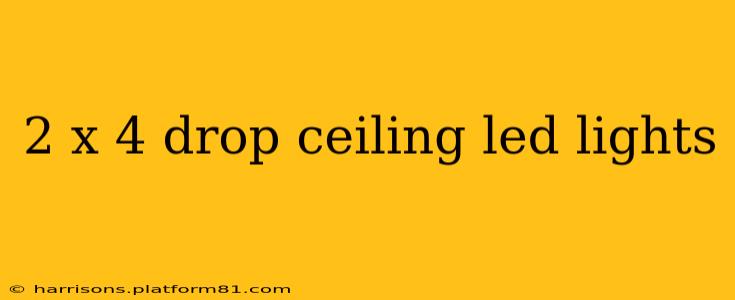 2 x 4 drop ceiling led lights