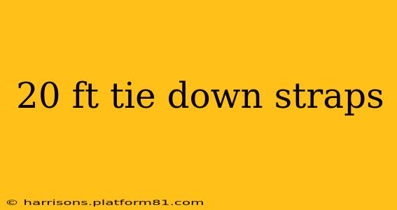 20 ft tie down straps