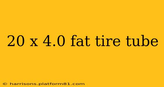 20 x 4.0 fat tire tube