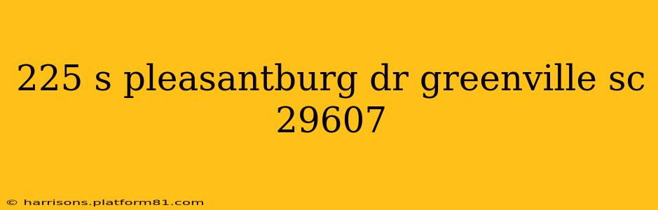 225 s pleasantburg dr greenville sc 29607