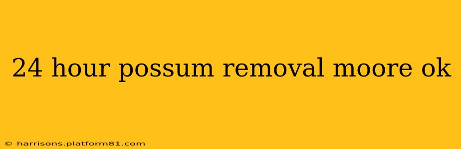 24 hour possum removal moore ok