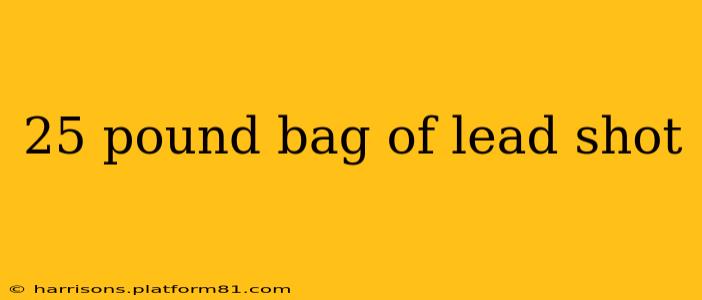 25 pound bag of lead shot