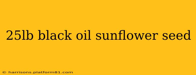 25lb black oil sunflower seed