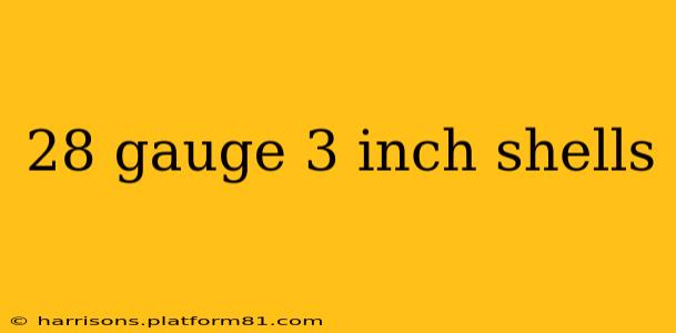 28 gauge 3 inch shells