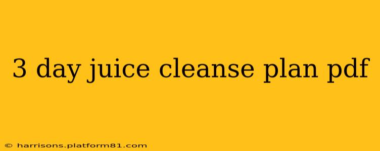 3 day juice cleanse plan pdf