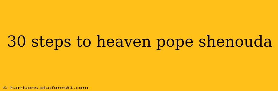 30 steps to heaven pope shenouda