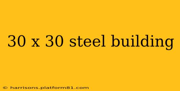 30 x 30 steel building