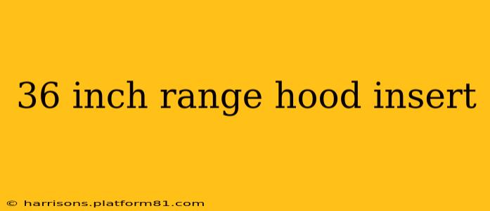 36 inch range hood insert