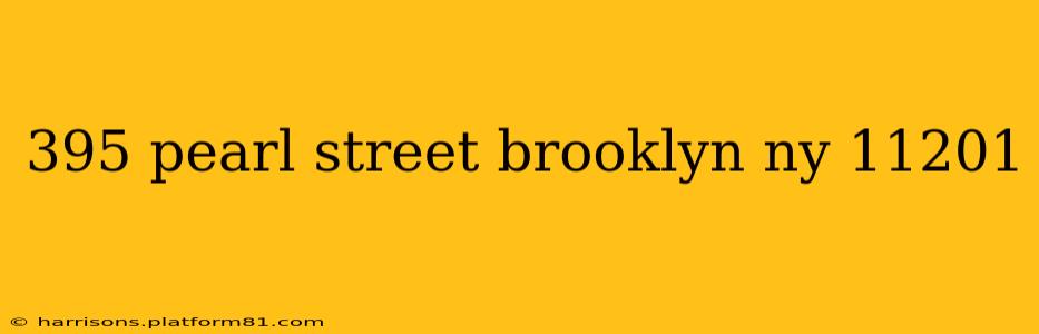 395 pearl street brooklyn ny 11201