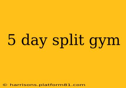 5 day split gym