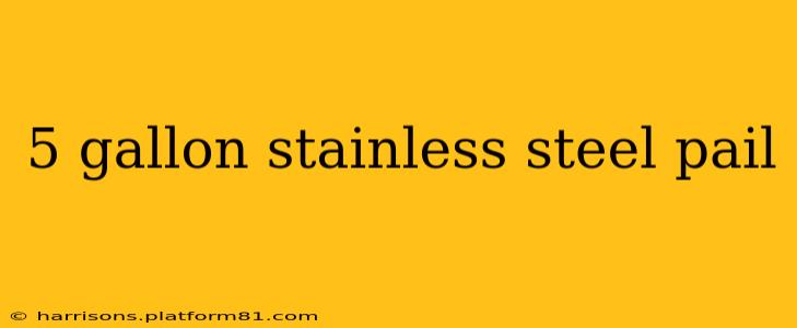 5 gallon stainless steel pail