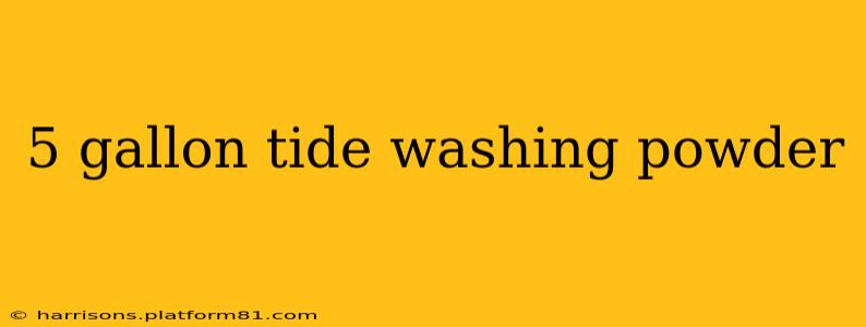 5 gallon tide washing powder