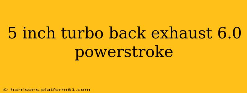 5 inch turbo back exhaust 6.0 powerstroke