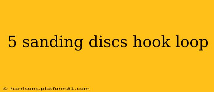 5 sanding discs hook loop