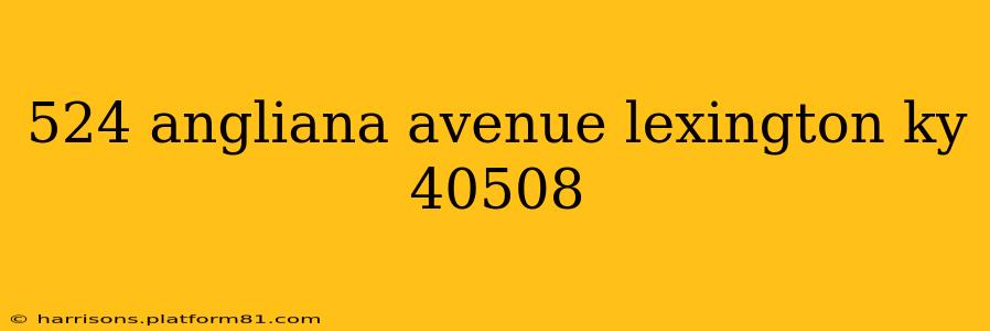 524 angliana avenue lexington ky 40508