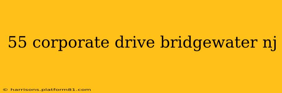 55 corporate drive bridgewater nj