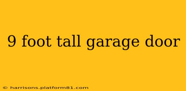 9 foot tall garage door