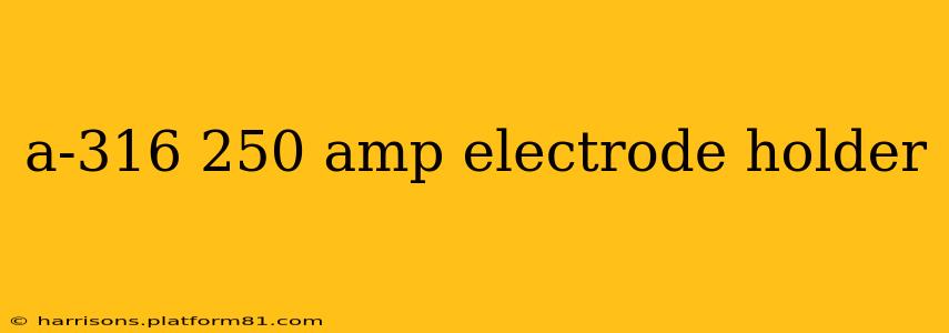 a-316 250 amp electrode holder