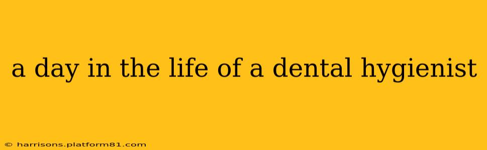 a day in the life of a dental hygienist